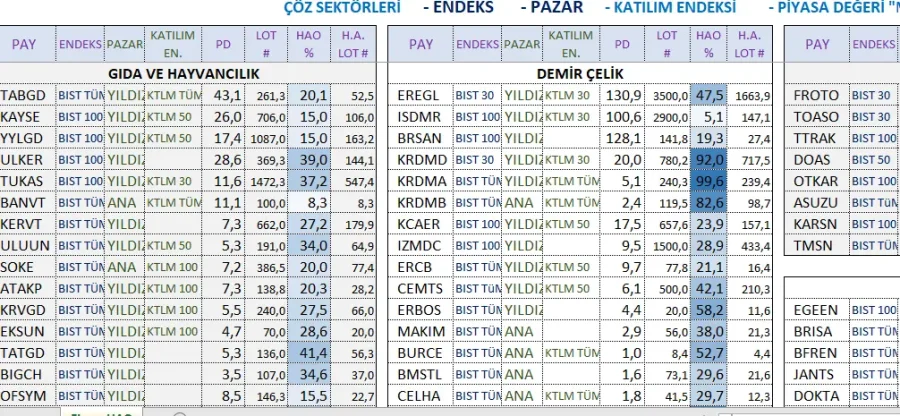 Hisselerin Halka Açıklık Oranları